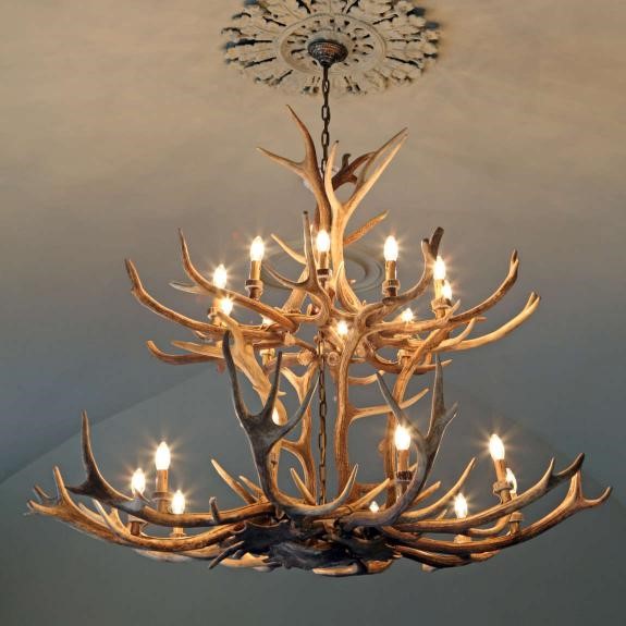 A chandelier made from antlers hanging from a black link chain