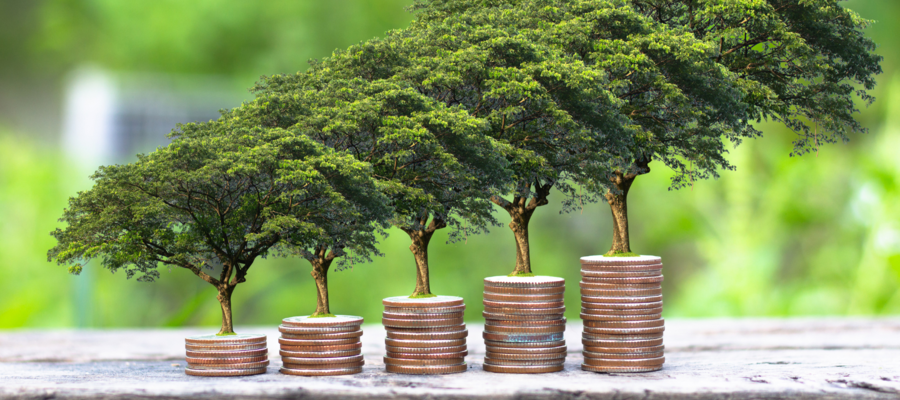 increasingly large piles of coins with trees on them