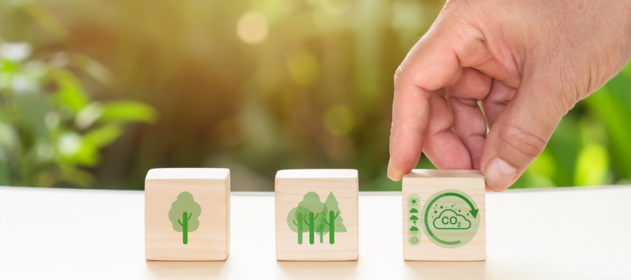 3 wooden blocks showing symbols of sustainability