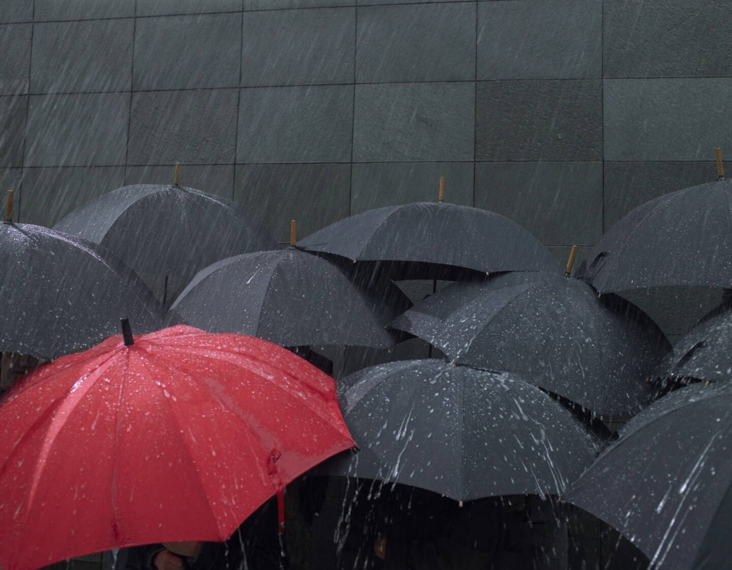 Stand out from the crowd to a potential employer