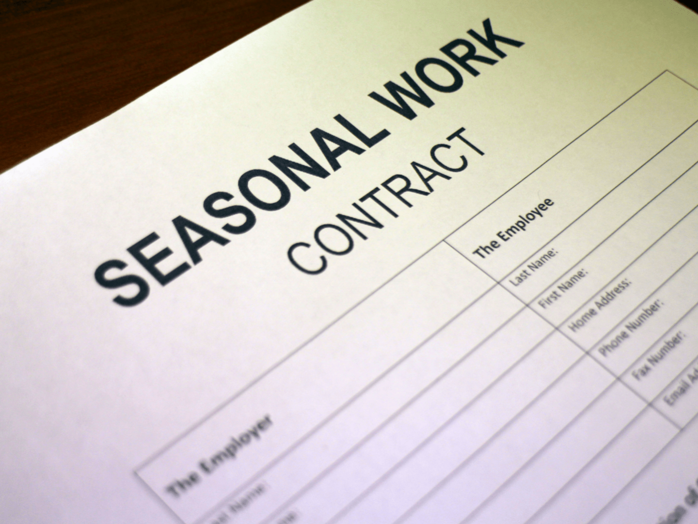 An up-close image of an employment contract for a seasonal worker