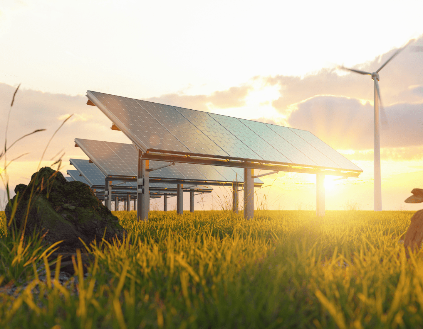 A low angle image of solar panels and wind turbines in a field at sunset